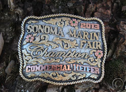 Sonoma marin fair